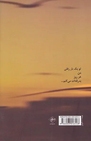 اکنون زیباترین شعر صالح است